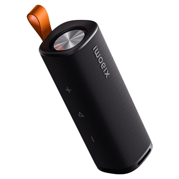 S29D Xiaomi Sound Outdoor 30W (Black)