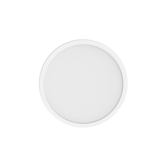 Xiaomi Smart Ceiling Light D20